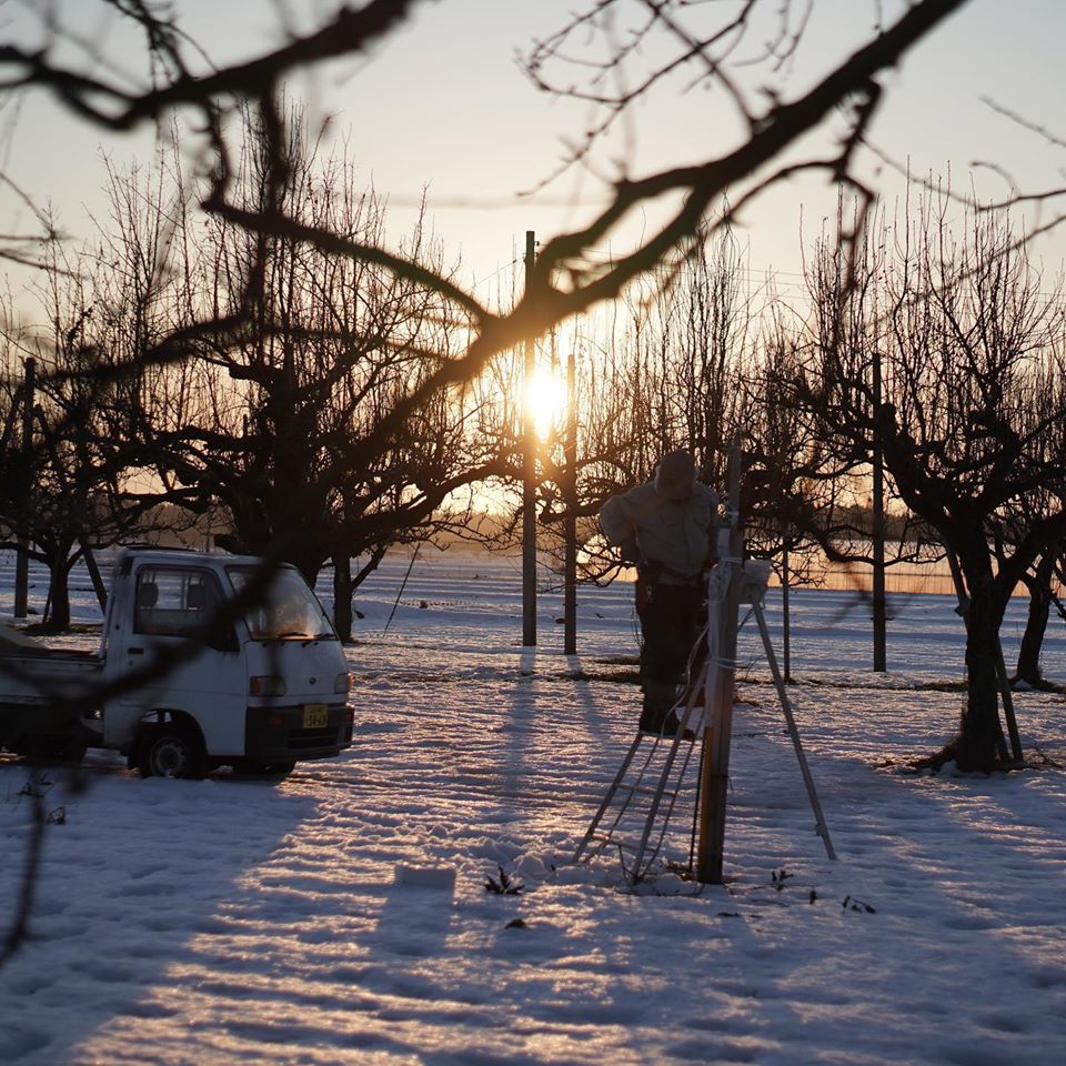 ジュース　山形
