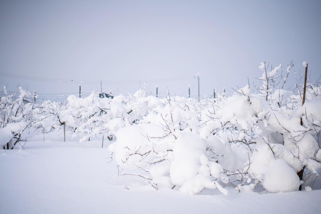 大雪　山形