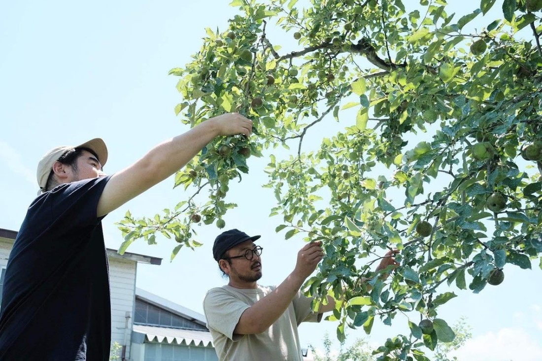 山形　オーガニック