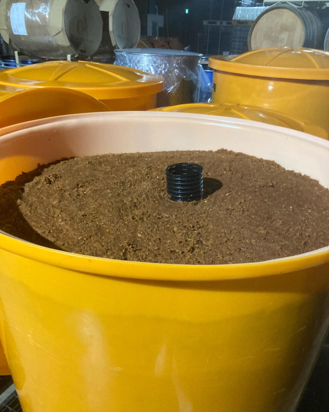 有機シードル　山形