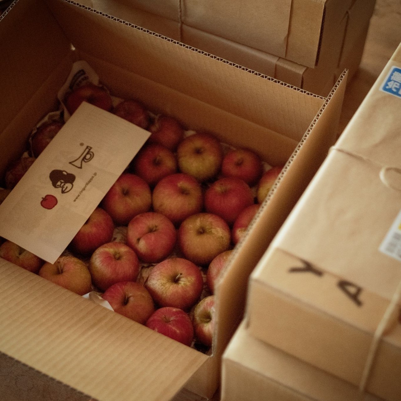 季節のリンゴボックス