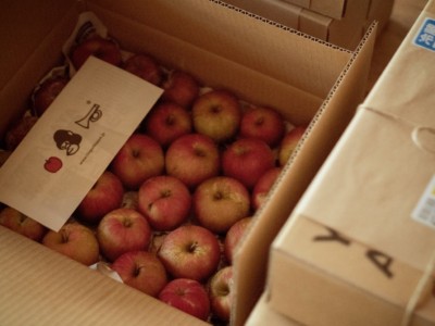 季節のリンゴボックス